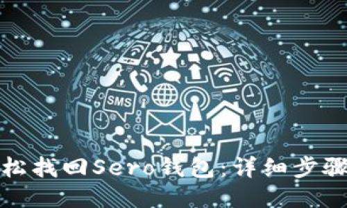 如何轻松找回Sero钱包：详细步骤与技巧