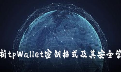 全面解析tpWallet密钥格式及其安全管理技巧