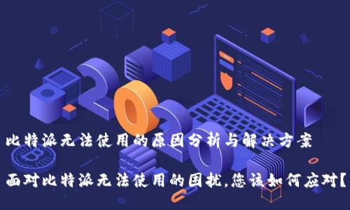 比特派无法使用的原因分析与解决方案

面对比特派无法使用的困扰，您该如何应对？