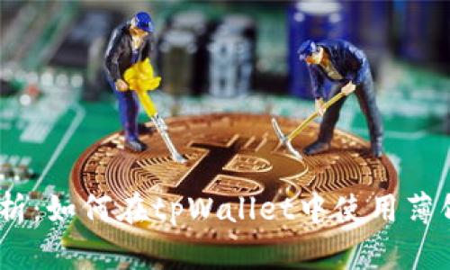 全面解析：如何在tpWallet中使用薄饼（B币）