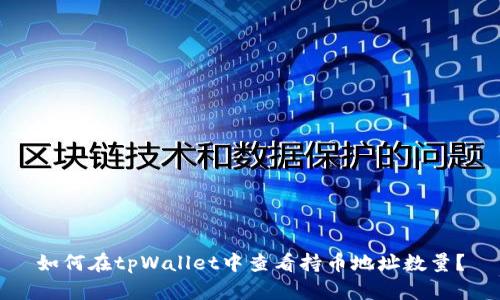 如何在tpWallet中查看持币地址数量？