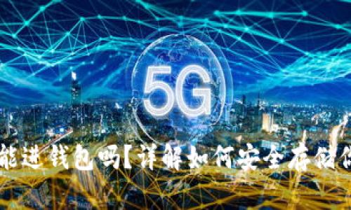 虚拟币代币能进钱包吗？详解如何安全存储你的数字资产