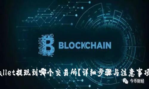 tpWallet提现到哪个交易所？详细步骤与注意事项解析