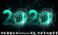 如何选择安全的Setlcoin钱包