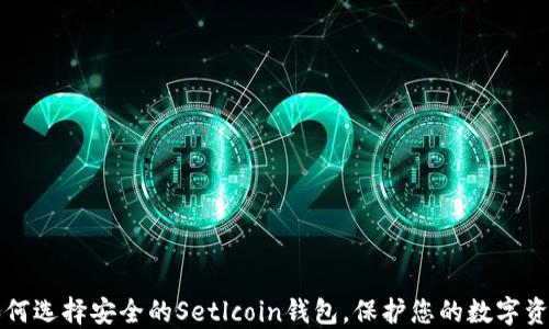 
如何选择安全的Setlcoin钱包，保护您的数字资产