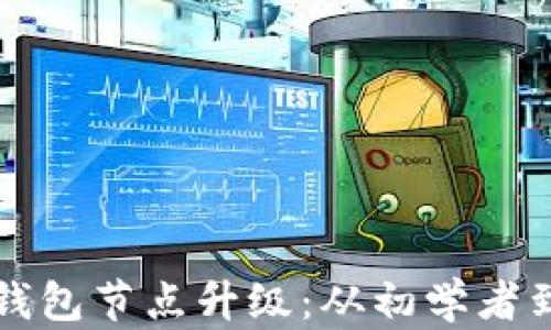 
全面解析以太坊钱包节点升级：从初学者到高手的必备指南