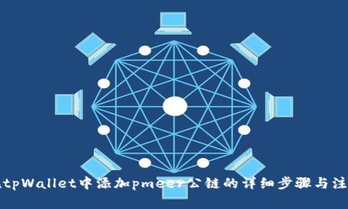 如何在tpWallet中添加pmeer公链的详细步骤与注意事项