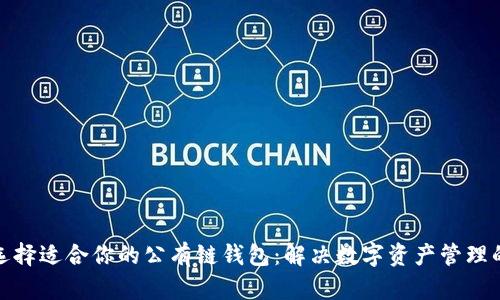 如何选择适合你的公有链钱包：解决数字资产管理的烦恼