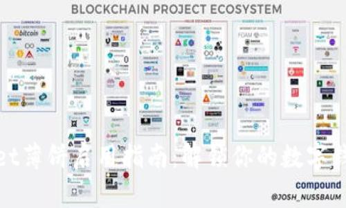 tpWallet薄饼启用指南：解锁你的数字钱包体验