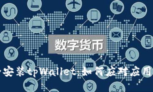 如何安全安装tpWallet：如何应对应用风险提示