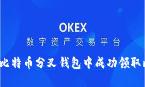 如何在比特币分叉钱包中成功领取比特币？