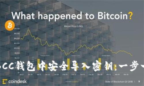 如何在BCC钱包中安全导入密钥：一步一步指导