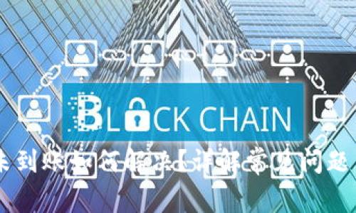 IM钱包币未到账如何解决？详解常见问题与解决方案