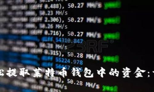 如何轻松提取莱特币钱包中的资金：详尽指南