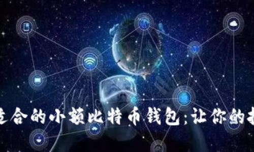 如何选择适合的小额比特币钱包:让你的投资更安心