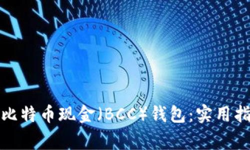如何安全存储比特币现金（BCC）钱包：实用指南与注意事项