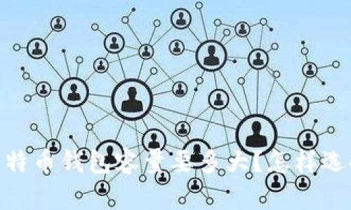 最全面指南：比特币钱包容量要多大？怎样选择合适的钱包？