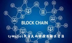 tpWallet钱消失的原因及解决