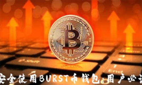 
如何安全使用BURST币钱包：用户必读指南