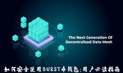 
如何安全使用BURST币钱包：用户必读指南
