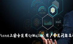 如何在iPhone上安全使用t