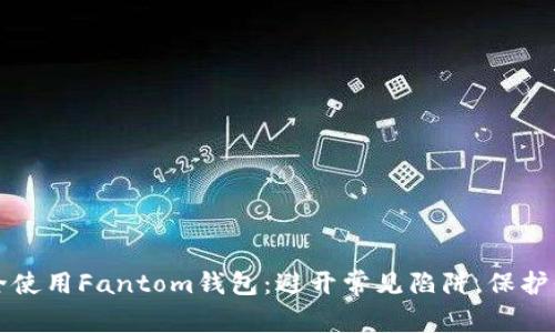 如何安全使用Fantom钱包：避开常见陷阱，保护你的资产