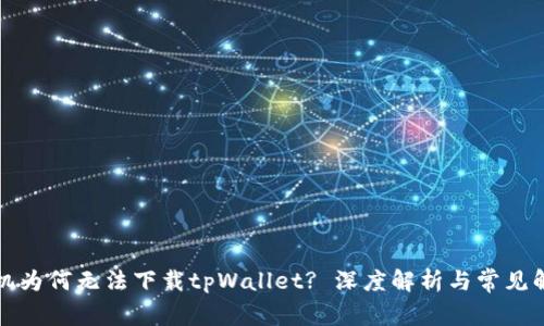 华为手机为何无法下载tpWallet? 深度解析与常见解决方案