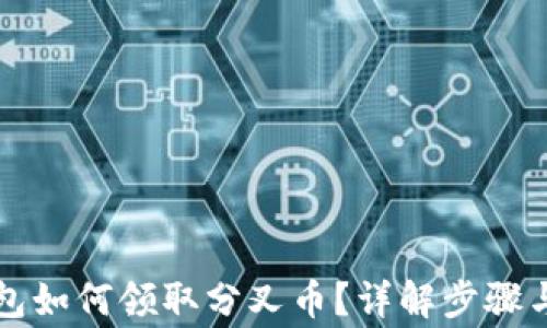 
比特币钱包如何领取分叉币？详解步骤与注意事项