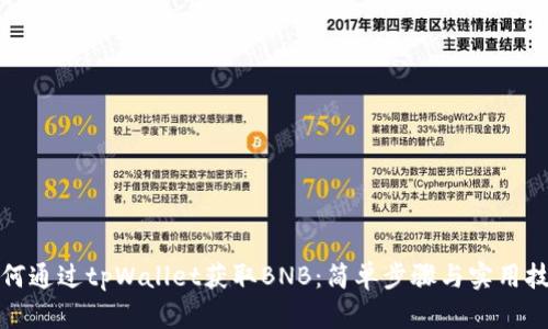 如何通过tpWallet获取BNB：简单步骤与实用技巧