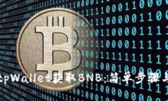 如何通过tpWallet获取BNB：简