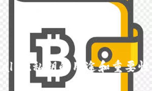 tpWallet私钥的用途和重要性解析