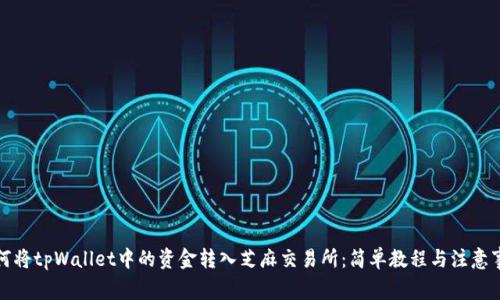 如何将tpWallet中的资金转入芝麻交易所：简单教程与注意事项