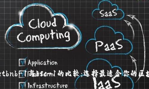 tpWalletbnb-1与bsc-1的比较：选择最适合你的区块链钱包