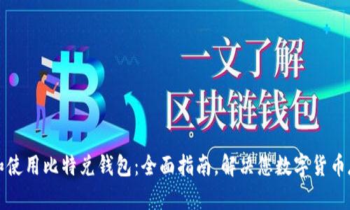 如何下载和使用比特兑钱包：全面指南，解决您数字货币存储的痛点
