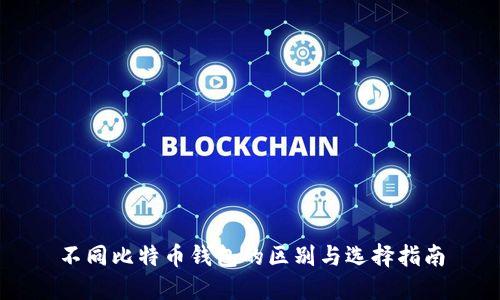 不同比特币钱包的区别与选择指南