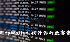 如何高效使用tpWallet，提升