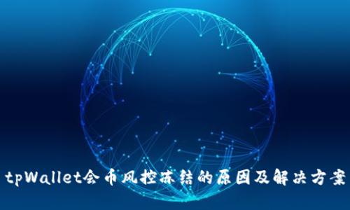 tpWallet会币风控冻结的原因及解决方案
