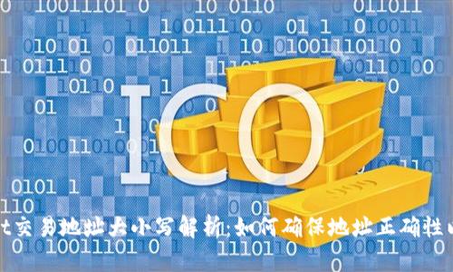 tpWallet交易地址大小写解析：如何确保地址正确性以防损失