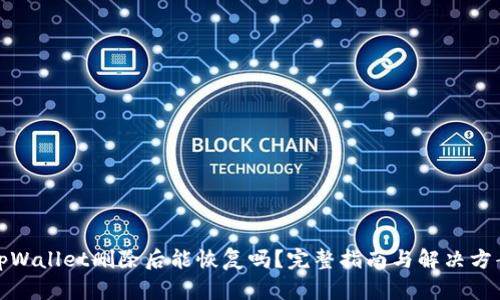 tpWallet删除后能恢复吗？完整指南与解决方案