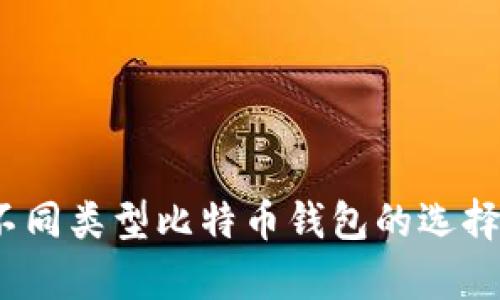 详细解析：不同类型比特币钱包的选择与使用指南