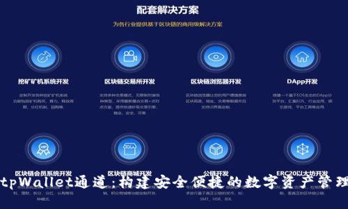 深入解析tpWallet通道：构建安全便捷的数字资产管理解决方案