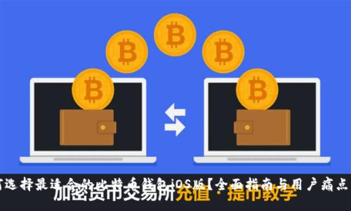 如何选择最适合的比特币钱包iOS版？全面指南与用户痛点解析