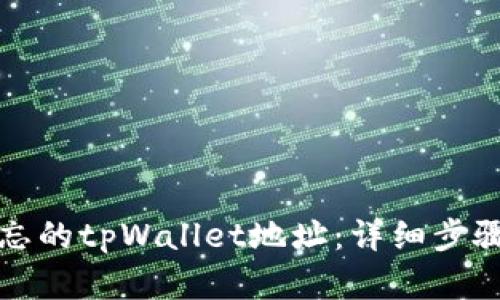 如何找回遗忘的tpWallet地址：详细步骤与实用技巧