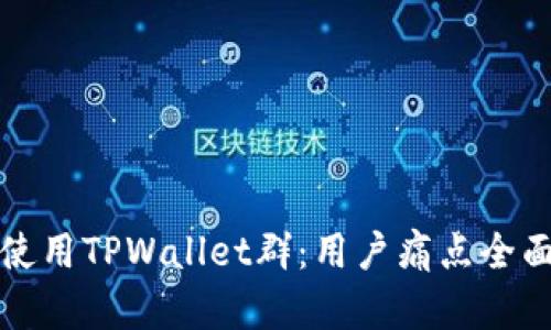 如何安全使用TPWallet群：用户痛点全面解决指南