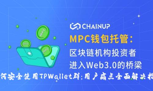 如何安全使用TPWallet群：用户痛点全面解决指南