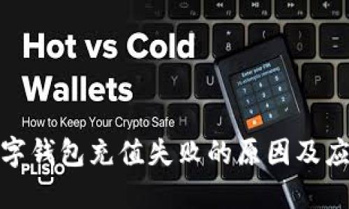 解决数字钱包充值失败的原因及应对措施