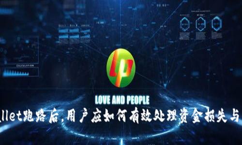 tpWallet跑路后，用户应如何有效处理资金损失与隐患？