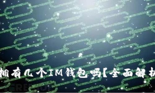 一个人可以拥有几个IM钱包吗？全面解析与实用建议