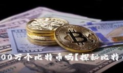 中本聪真的拥有100万个比