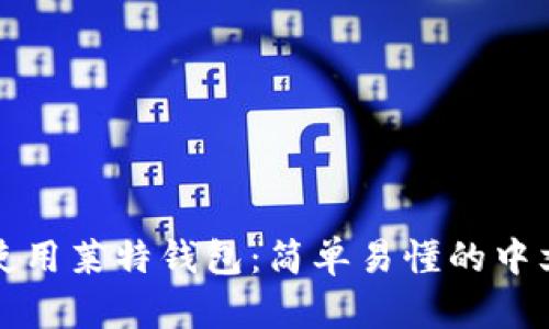 如何使用莱特钱包：简单易懂的中文指南